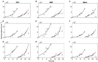 Organic Phosphorus Scavenging Supports Efficient Growth of Diazotrophic Cyanobacteria Under Phosphate Depletion